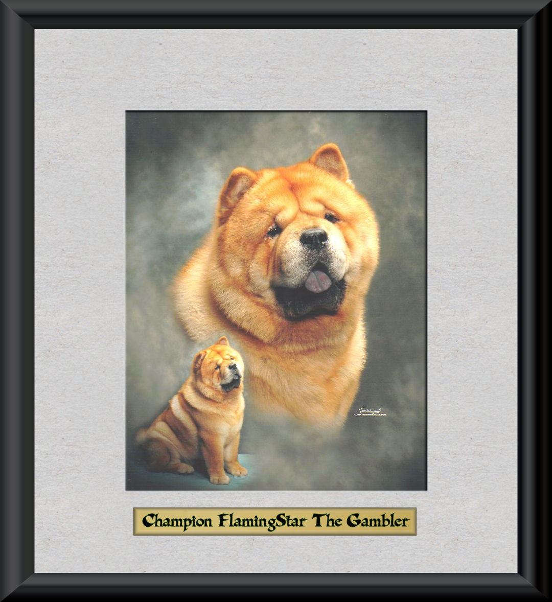 Champion FlamingStar The Gambler