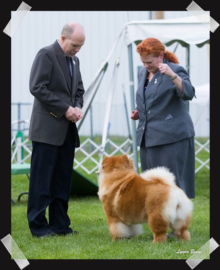 Marilyn in 
      
 
 
 
 
 
 
 
 
 
 
 
 
 
 
 
 
 
 the ring at Terre Haute, IN.
