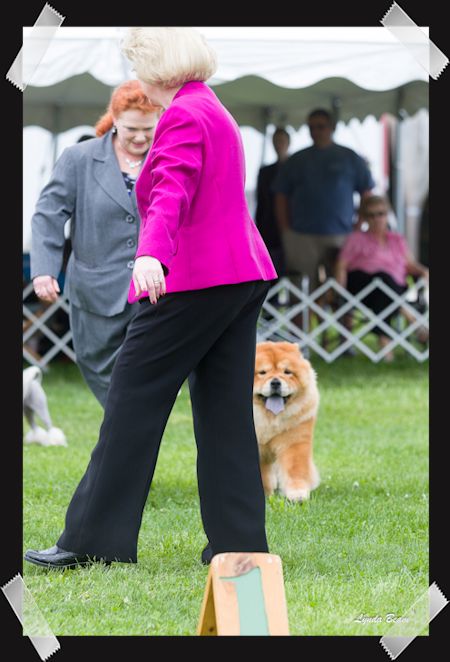 Marilyn in 
      
 
 
 
 
 
 
 
 
 
 
 
 
 
 
 
 
 the ring at Terre Haute, IN.