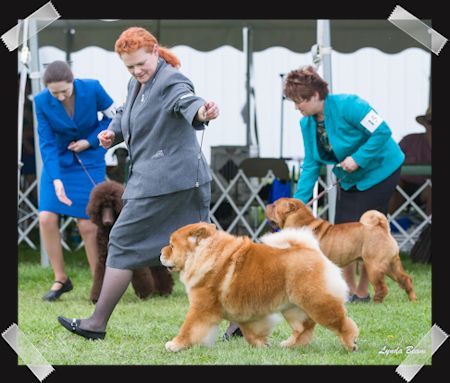 Marilyn in 
      
 
 
 
 
 
 
 
 
 
 
 
 
 
 
 
 
 
 the ring at Terre Haute, IN.